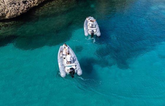 Boat without licence  Bwa 550 40hp