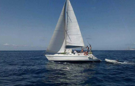 Sailboat Puma 37 12m