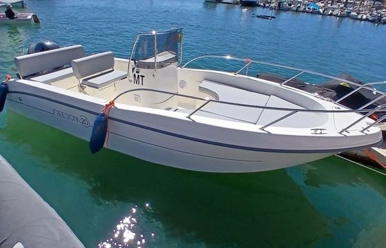Motorboat Capelli FREEDOM 20 130hp