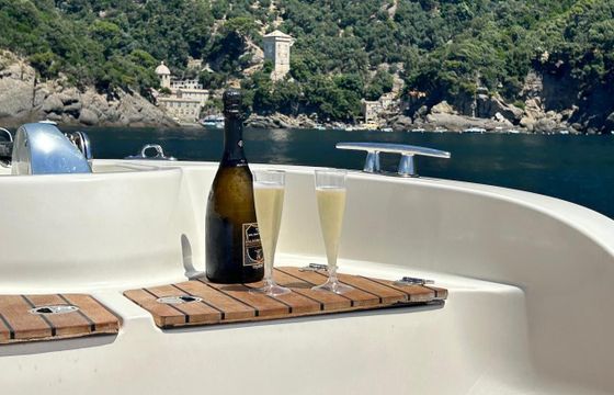 RIB Portofino 28 CUSTOM 450hp