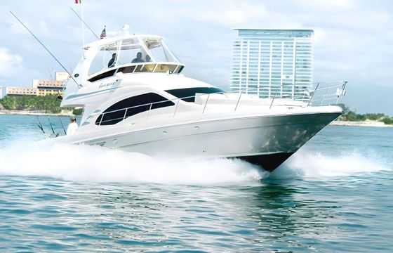 Motorboat Sea Ray 44