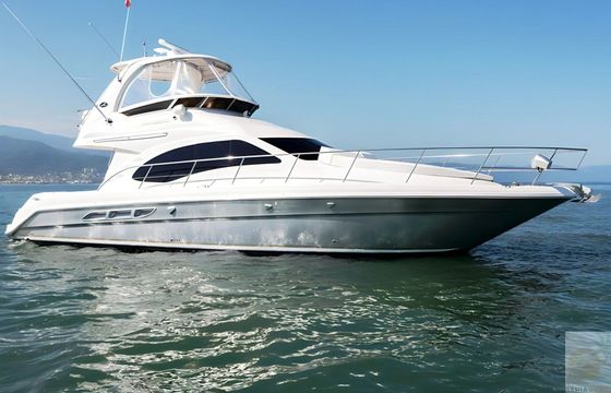 Motorboat Sea Ray 44
