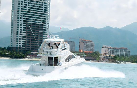 Motorboat Sea Ray 44