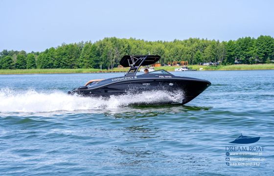 Motorboat Sea Ray 210 250hp