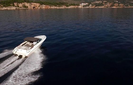 Motorboat SEA RAY 180 145hp