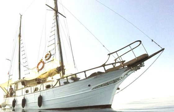 Motorboat Incorvaia Motorsailer Goletta 114hp