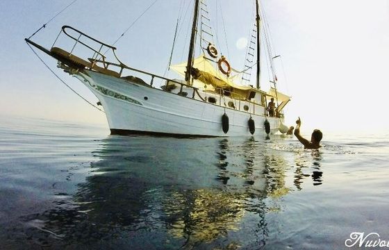 Motorboat Incorvaia Motorsailer Goletta 114hp