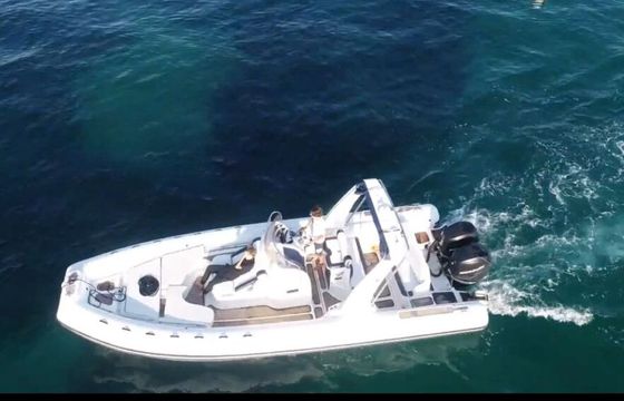 RIB Bwa 9m Teck 450hp