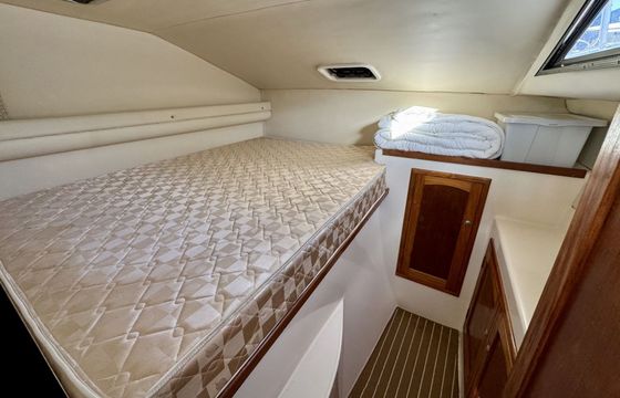 Motorboat Sable Catamarans Venturer 36 112hp