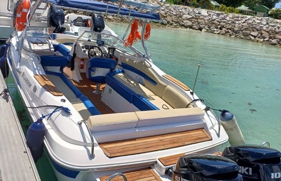 Motorboat Larson Lxi 288 100hp