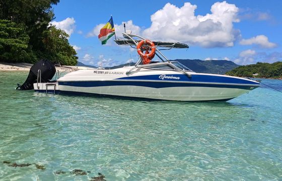 Motorboat Larson Lxi 288 100hp