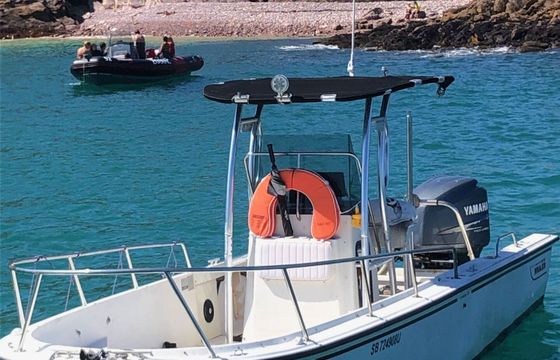 Motorboat Boston Whaler outrage 22 200hp