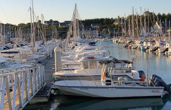 Motorboat Boston Whaler outrage 22 200hp