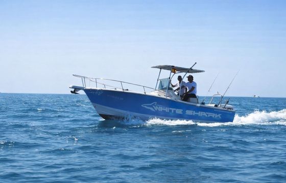 Motorboat White shark 225cc 225hp