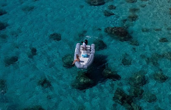 Boat without licence  Bwa 550 40hp