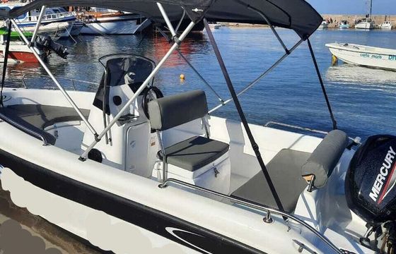 Boat without licence Poseidon BLU WATER 170 30hp
