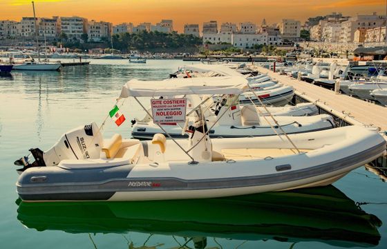 Boat without licence Predator 5.5 mt (3)
