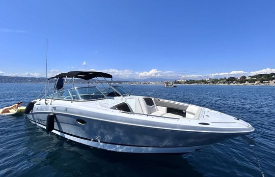 Motorboat Fourwinns H310 600hp