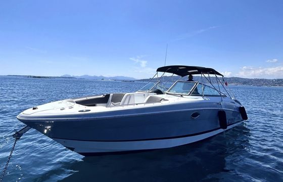 Motorboat Fourwinns H310 600hp