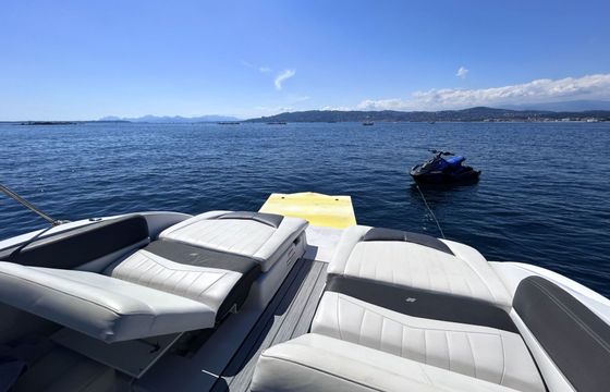 Motorboat Fourwinns H310 600hp