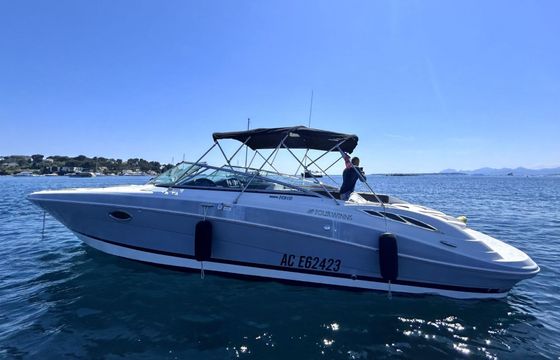 Motorboat Fourwinns H310 600hp