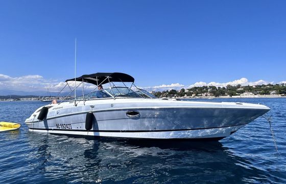 Motorboat Fourwinns H310 600hp