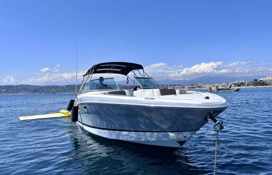 Motorboat Fourwinns H310 600hp