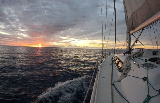 Sailboat Dehler 41 12m