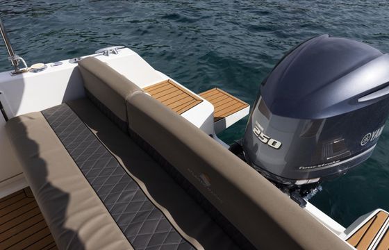 Motorboat 2022 Atlantic Marine 690 Suncruiser 250hp