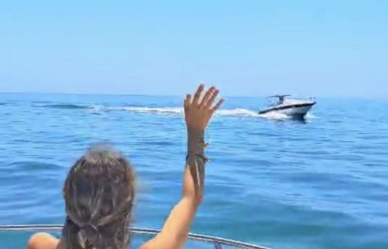 Motorboat Shiren 660 WA 115hp