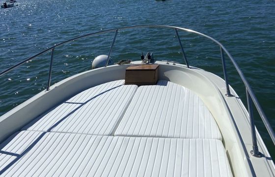 Motorboat Boston Whaler Outrage 25 250hp