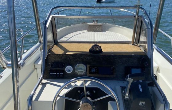 Motorboat Boston Whaler Outrage 25 250hp