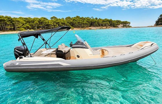 RIB Bsc B1 350hp