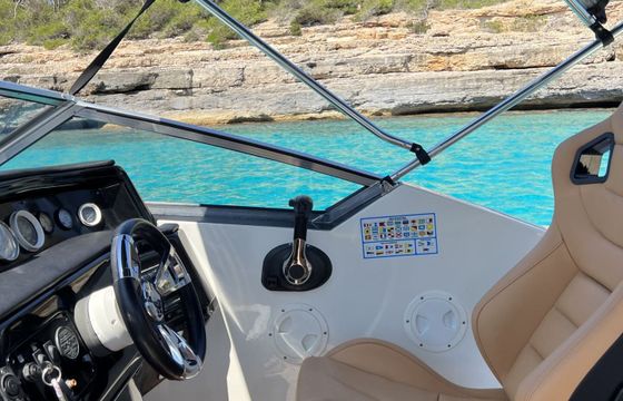 Motorboat WELLCRAFT OPEN 8 260hp
