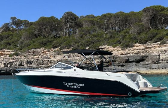 Motorboat WELLCRAFT OPEN 8 260hp