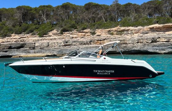 Motorboat WELLCRAFT OPEN 8 260hp