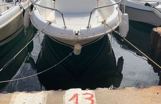 Motorboat Jeanneau CAP CAMARAT 545 90hp
