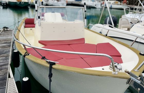 Motorboat Rhea Marine 23 Open 175hp