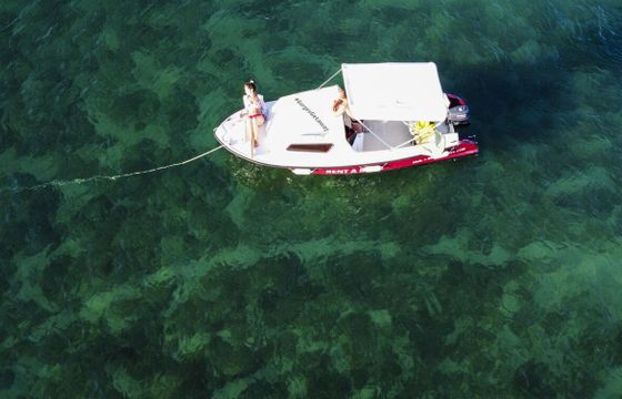 Boat without licence 5hp