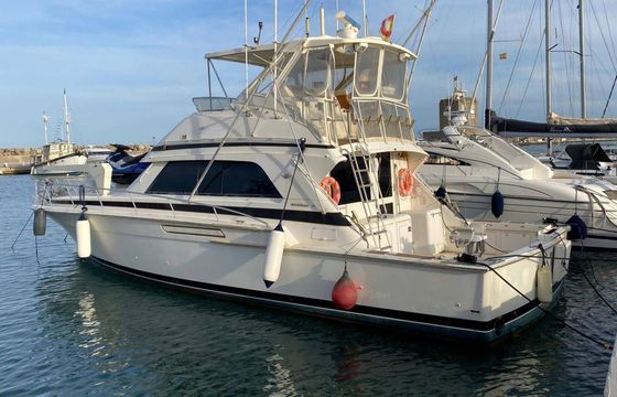 Motorboat Bertram bertram 50 ft sport fisherman