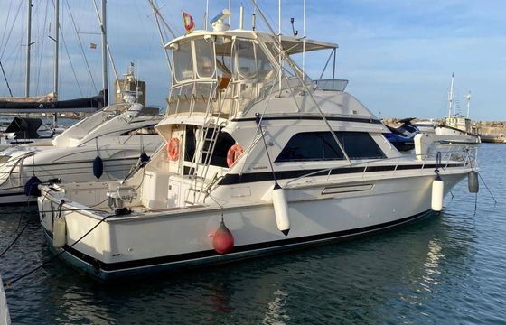 Motorboat Bertram bertram 50 ft sport fisherman