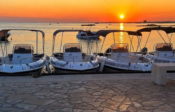 Motorboat Albatros WA 40hp