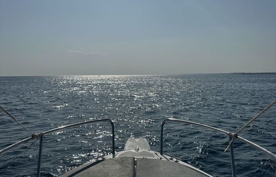 Motorboat Albatros WA 40hp