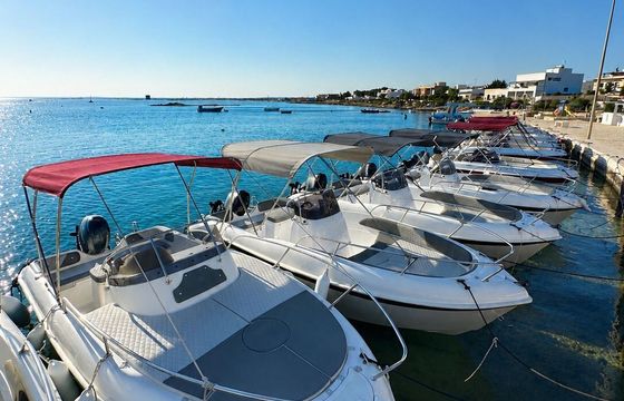 Motorboat Albatros WA 40hp