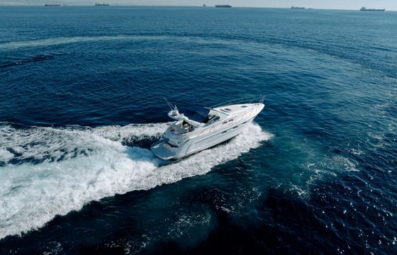 Motorboat Sealine S37 1300hp