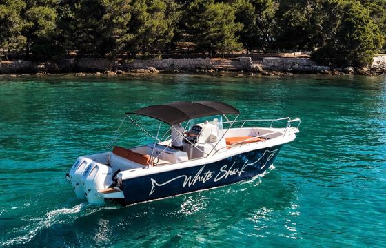 Motorboat White Shark 265 - Boat2Go 400hp