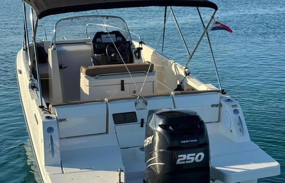 Motorboat Quicksilver Activ 755 Open 250hp