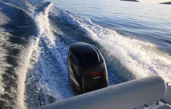 Motorboat FISHER 20 150hp
