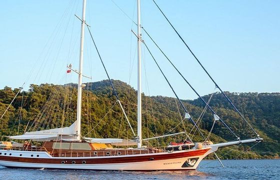 Gulet Gulet Custom Built Gulet 34m