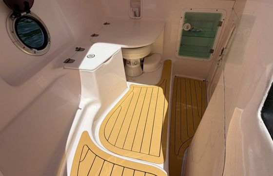 Motorboat Coral Coral full 300hp
